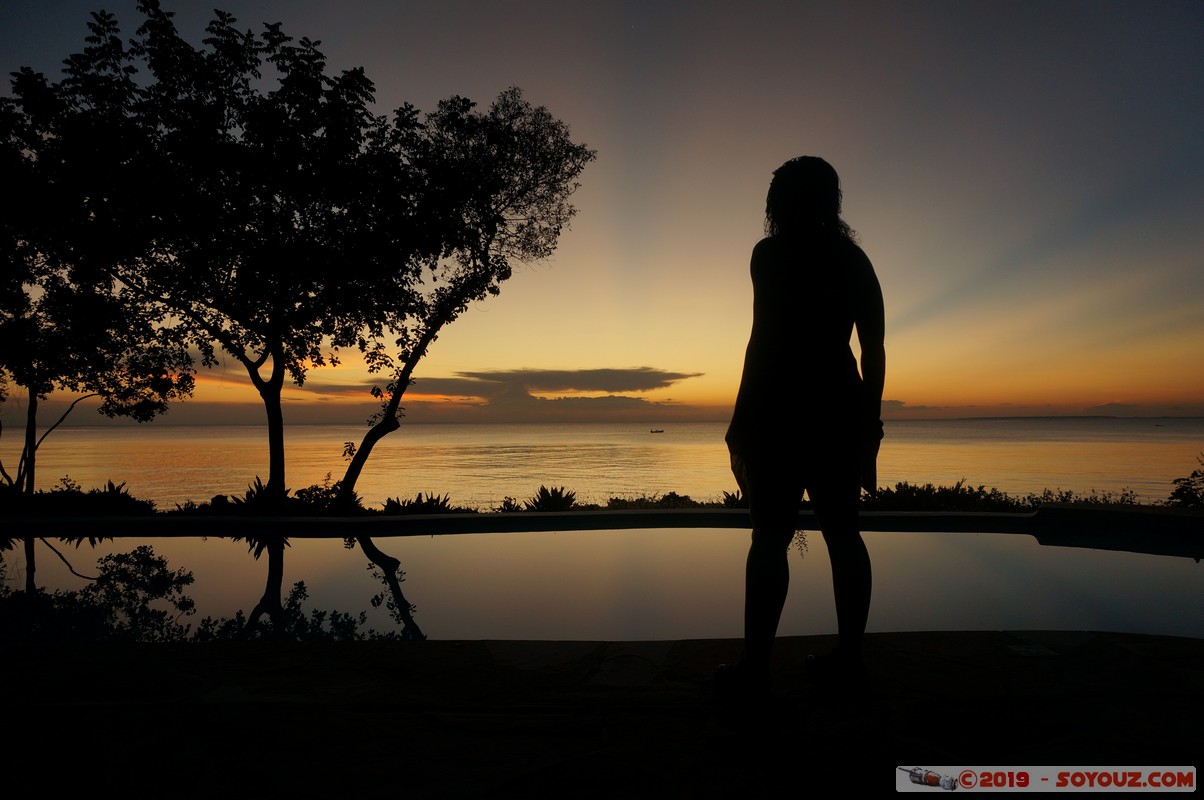 Zanzibar - Dimbani - Sunset
Mots-clés: Dimbani Tanzanie TZA Zanzibar Central/South Zanzibar Mer Piscine Karamba Resort sunset Lumiere Arbres