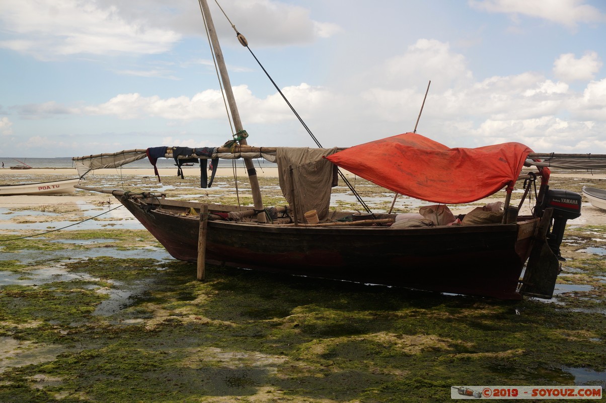 Zanzibar - Dimbani beach
Mots-clés: Dimbani Tanzanie TZA Zanzibar Central/South Zanzibar Mer plage bateau