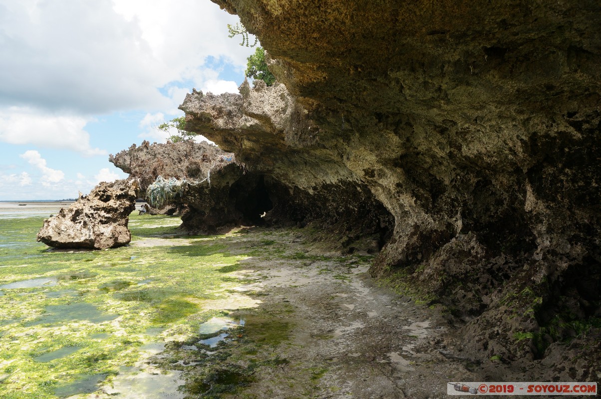 Zanzibar - Dimbani beach
Mots-clés: Dimbani Tanzanie TZA Zanzibar Central/South Zanzibar plage