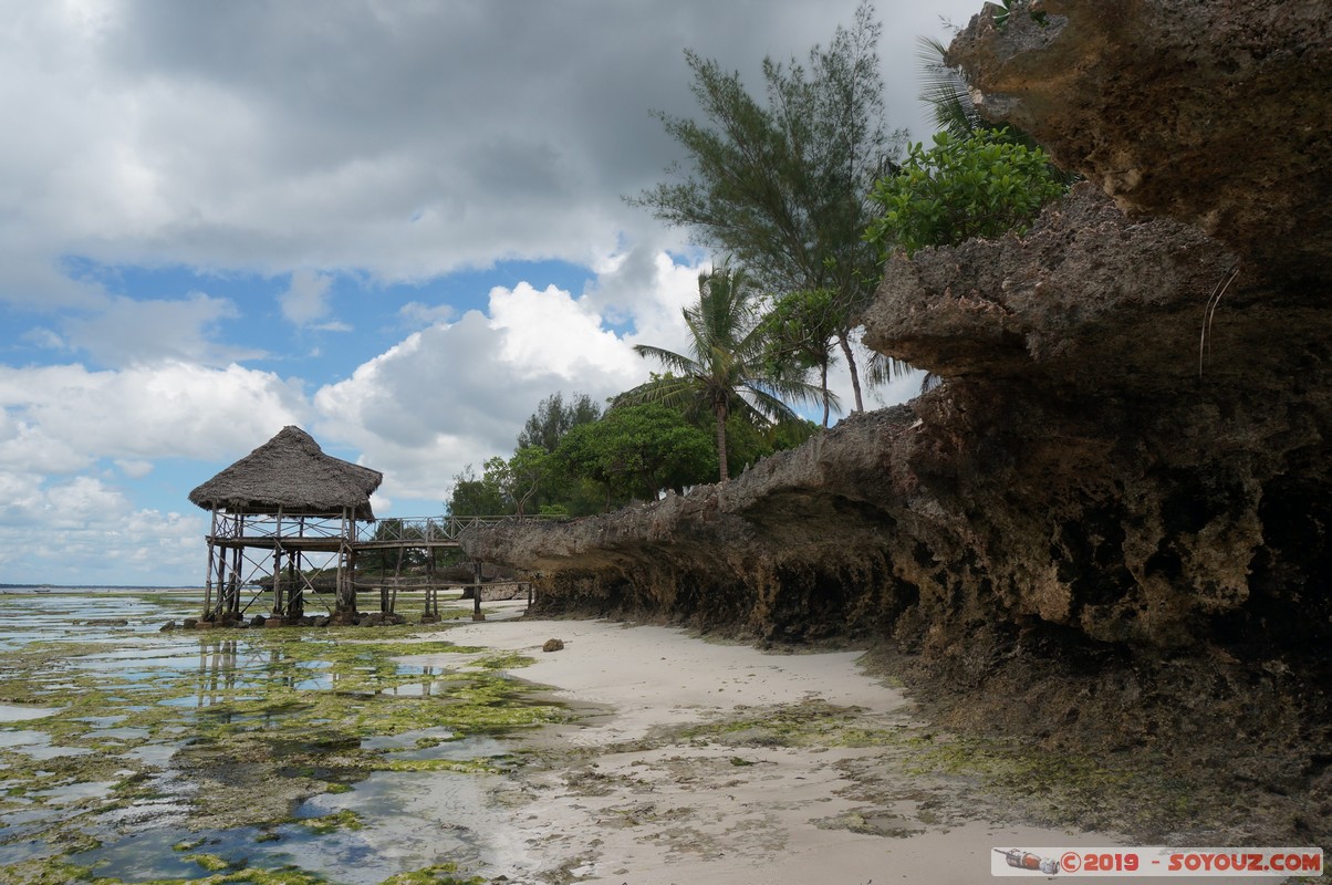 Zanzibar - Kizimkazi beach
Mots-clés: Kizimkazi Tanzanie TZA Zanzibar Central/South Zanzibar Mer plage