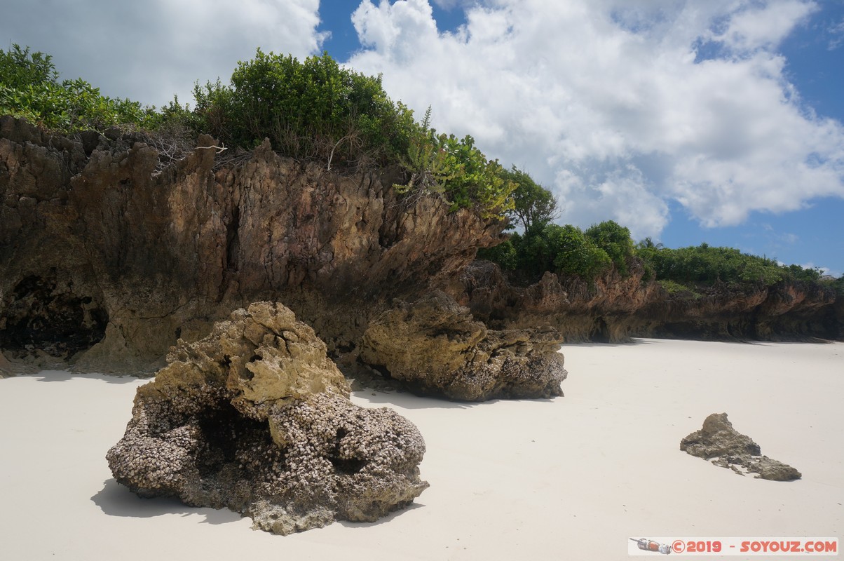 Zanzibar - Kizimkazi beach
Mots-clés: Kizimkazi Tanzanie TZA Zanzibar Central/South Zanzibar plage