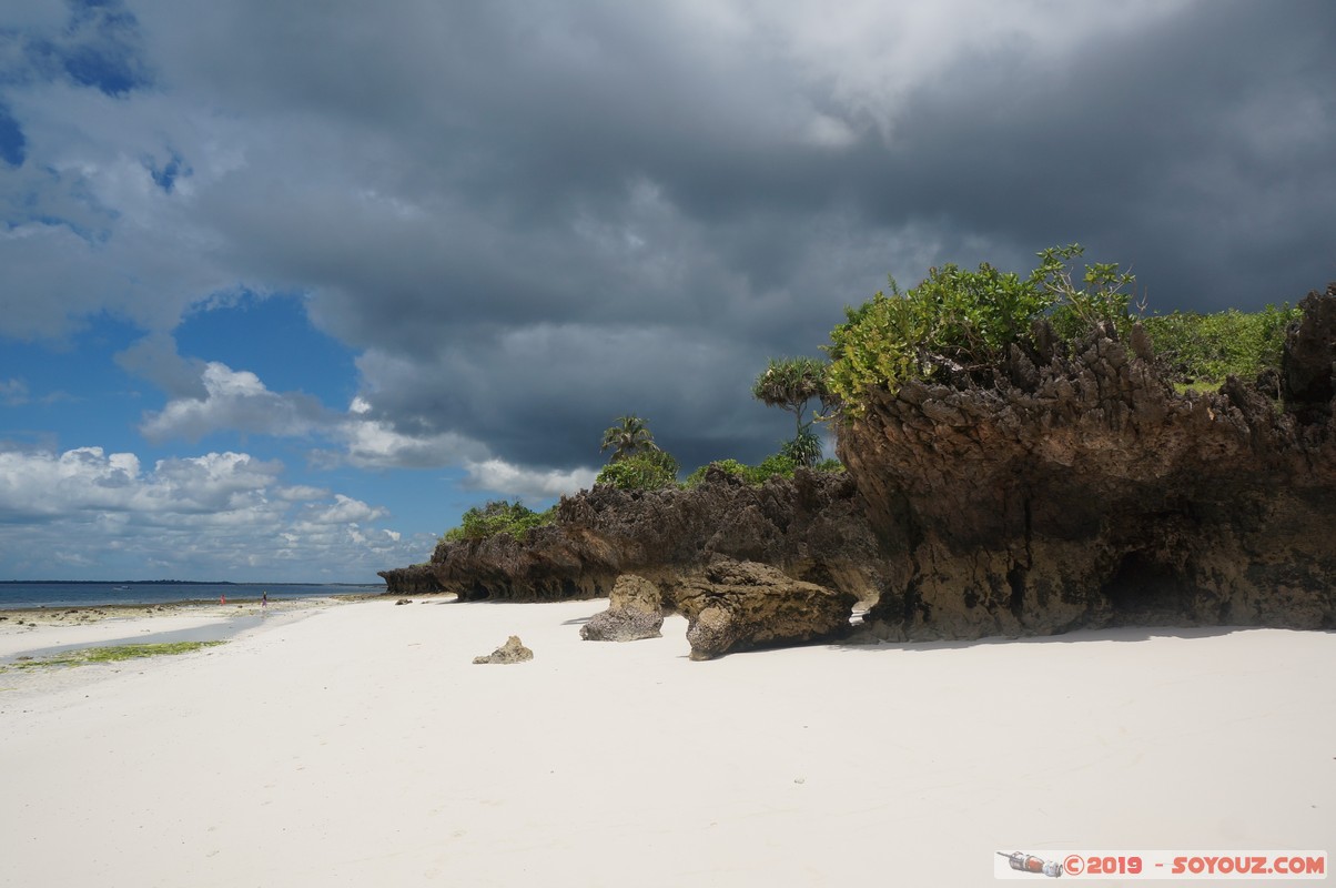 Zanzibar - Kizimkazi beach
Mots-clés: Kizimkazi Tanzanie TZA Zanzibar Central/South Zanzibar Mer plage