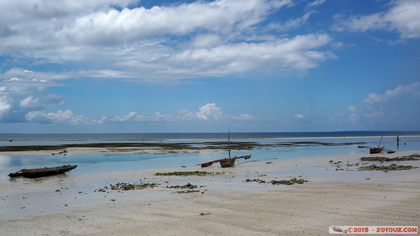 Zanzibar - Kizimkazi beach
Mots-clés: Kizimkazi Tanzanie TZA Zanzibar Central/South Zanzibar Mer plage