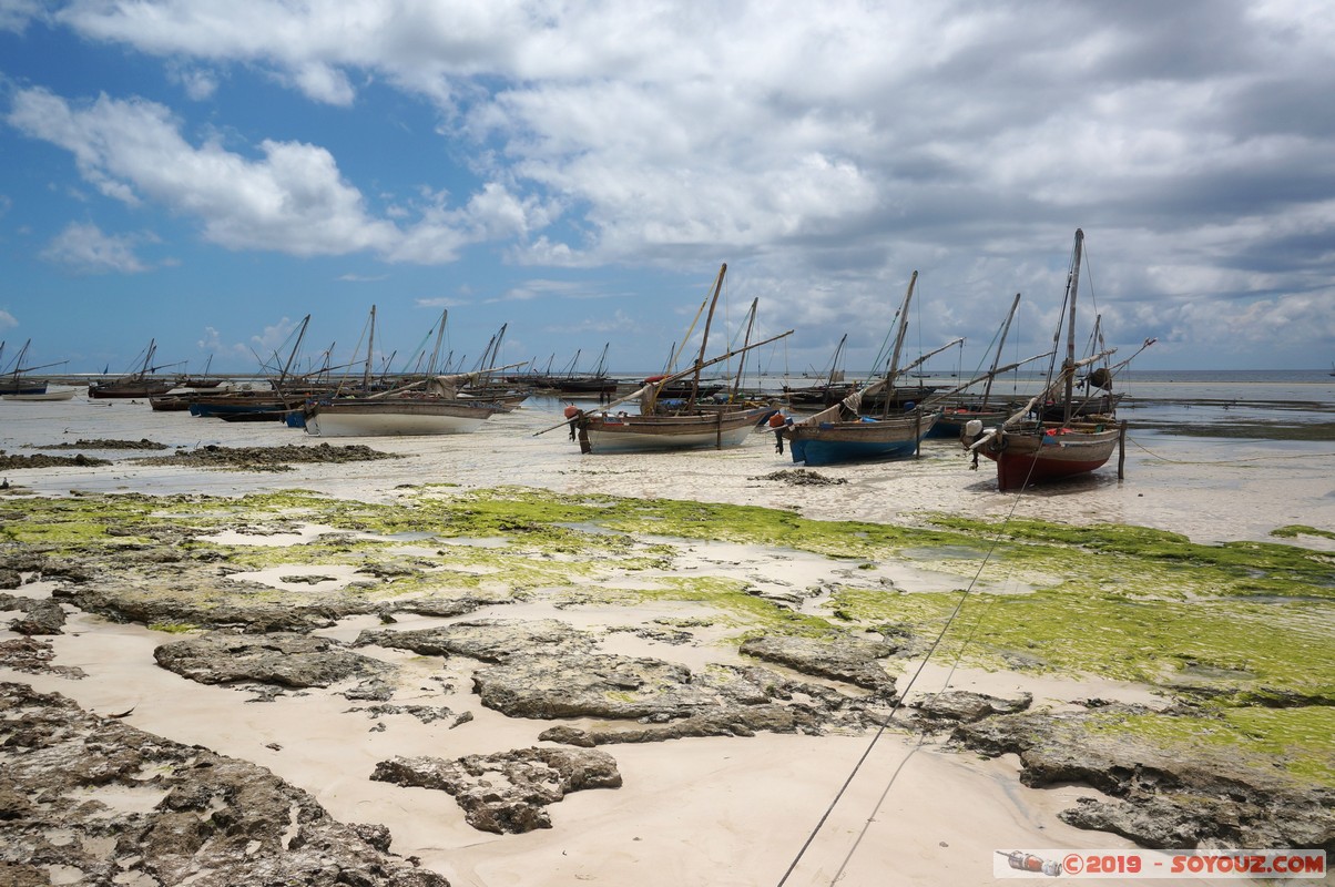 Zanzibar - Kizimkazi beach
Mots-clés: Kizimkazi Tanzanie TZA Zanzibar Central/South Zanzibar Mer plage bateau