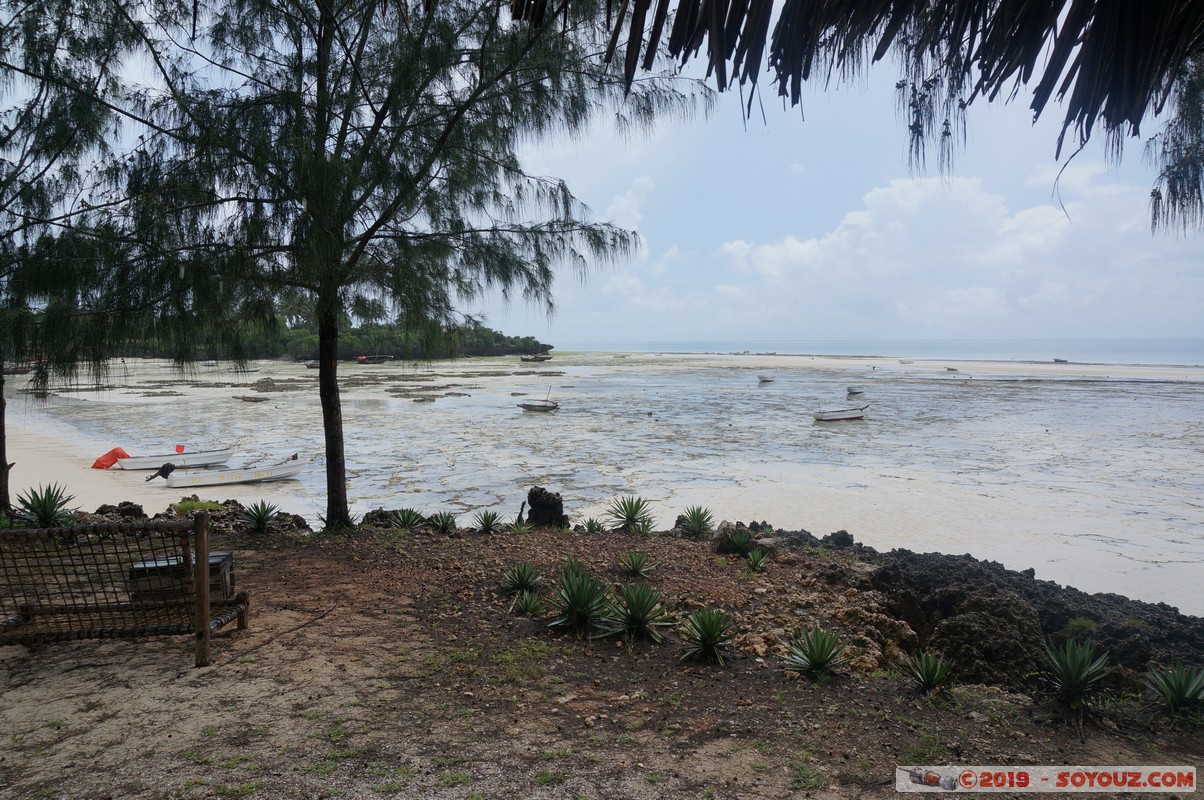 Zanzibar - Dimbani beach
Mots-clés: Dimbani Tanzanie TZA Zanzibar Central/South Zanzibar Karamba Resort plage