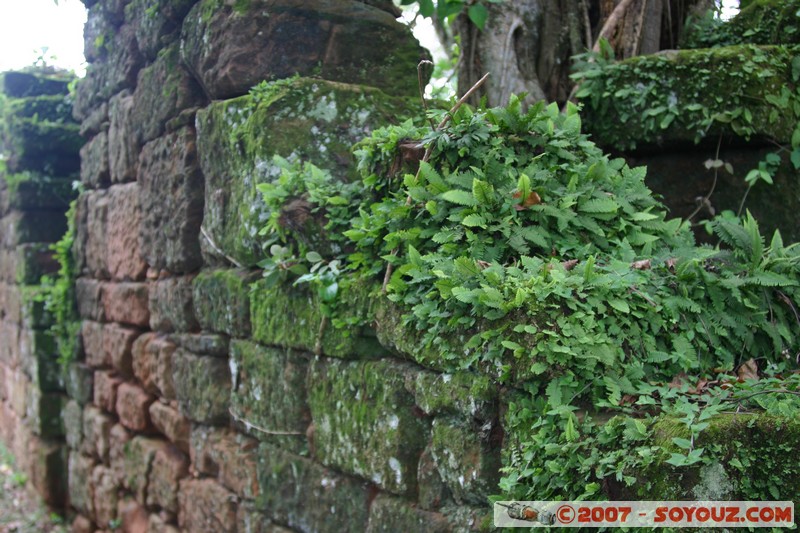 San Ignacio - Ruines Mission San Ignacio - Viviendas
