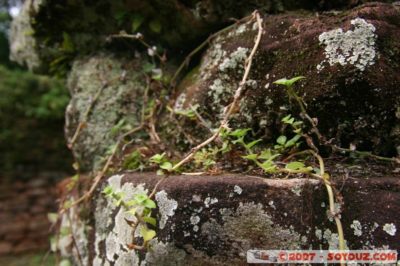 San Ignacio - Ruines Mission San Ignacio - Carcel
