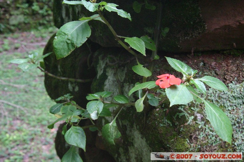 San Ignacio - Ruines Mission San Ignacio - Viviendas
