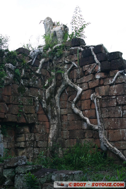 Ruines Mission Santa Ana - Cementerio
