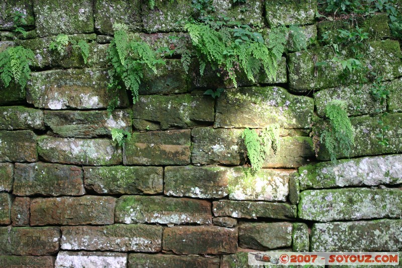 Ruines Mission Santa Ana - Patio de los Talleres
