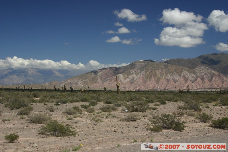 Ruta 33 - Parque National Los Cardones
