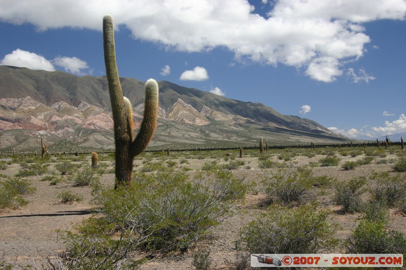 Ruta 33 - Parque National Los Cardones
