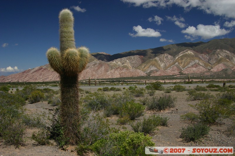 Ruta 33 - Parque National Los Cardones
