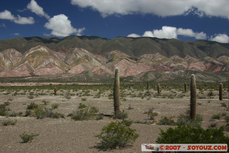 Ruta 33 - Parque National Los Cardones
