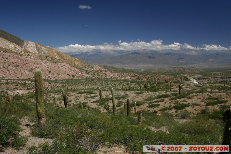 Ruta 33 - Parque National Los Cardones
