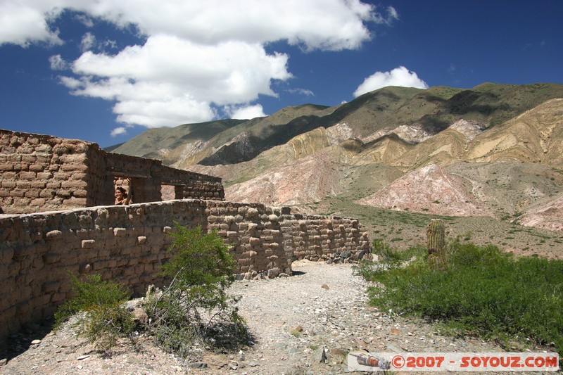 Ruta 33 - Parque National Los Cardones
