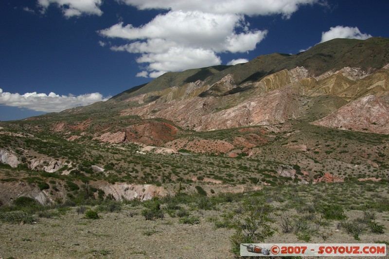 Ruta 33 - Parque National Los Cardones
