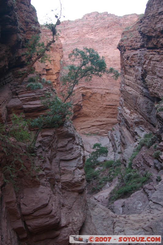 Quebrada de las Conchas - Garganta del Diablo
