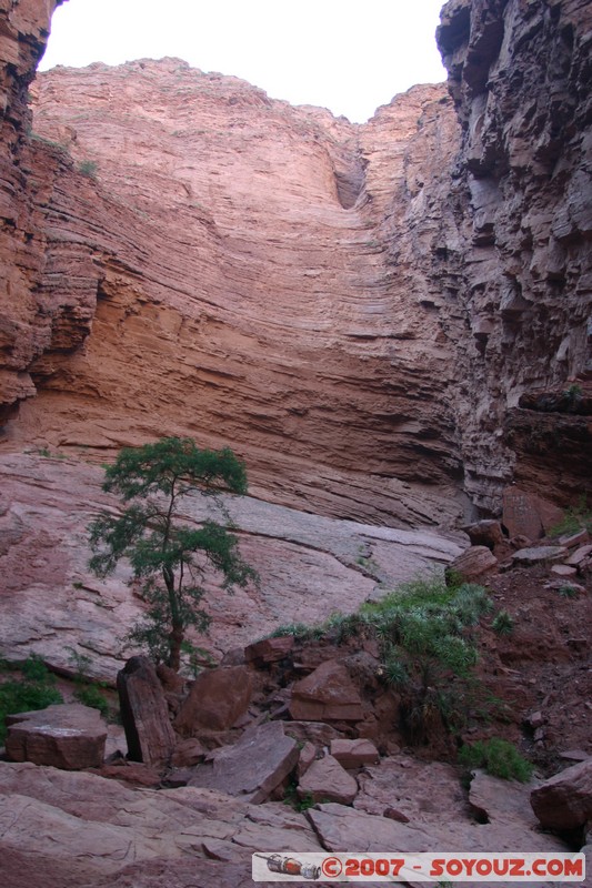 Quebrada de las Conchas - Garganta del Diablo
