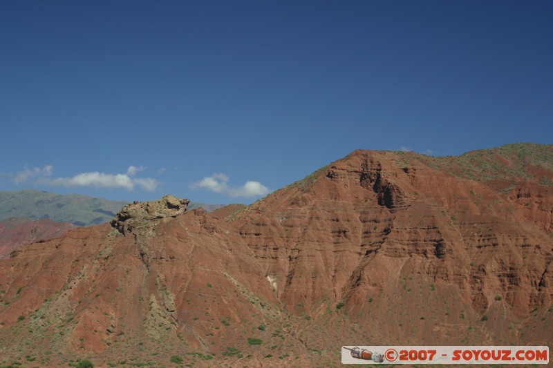 Quebrada de las Conchas - caméléon
