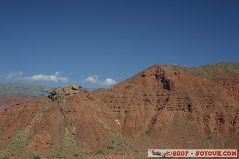 Quebrada de las Conchas - caméléon
