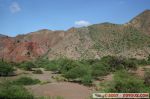IMG_7982.jpg