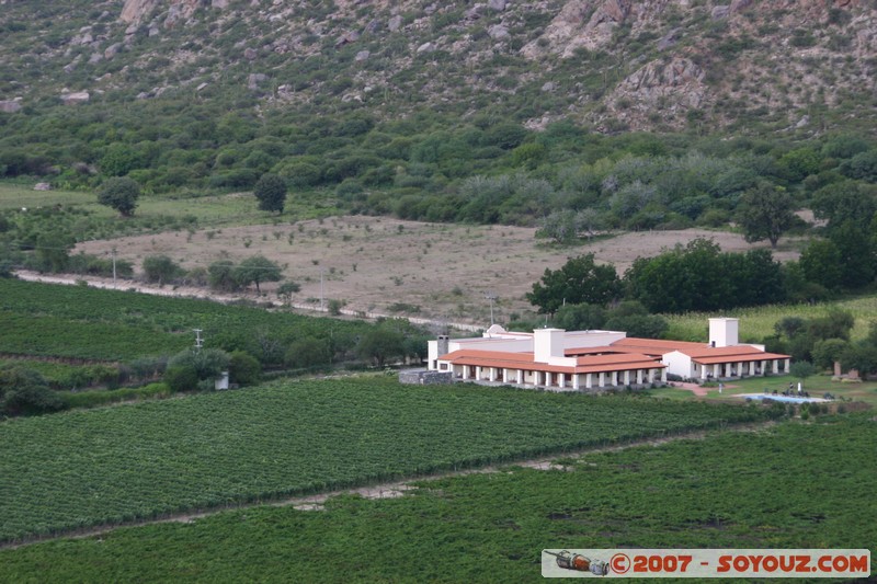 Cafayate - Bodega Las Nubes
