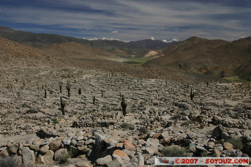 Santa Rosa de Tastil - ruines pré-Inca
