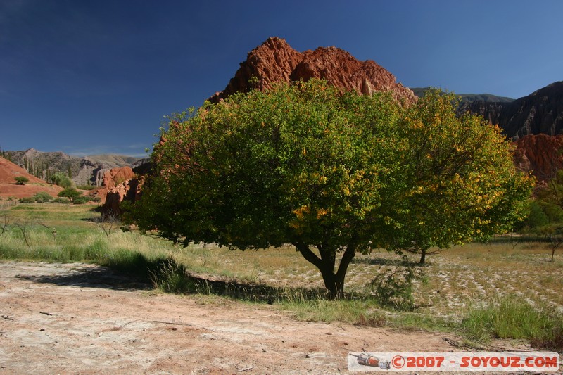 Purmamarca - Paseo de Los Colorados
