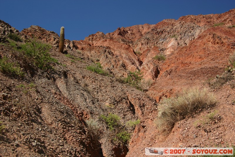 Purmamarca - Paseo de Los Colorados
