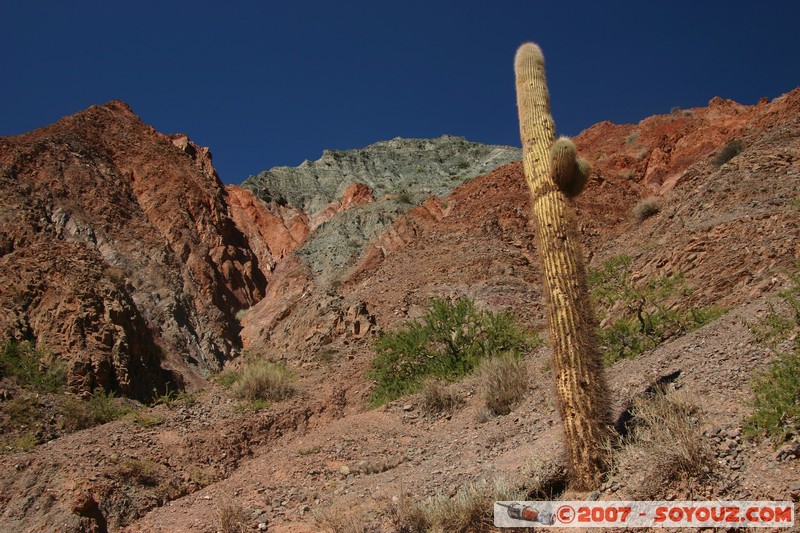 Purmamarca - Paseo de Los Colorados
