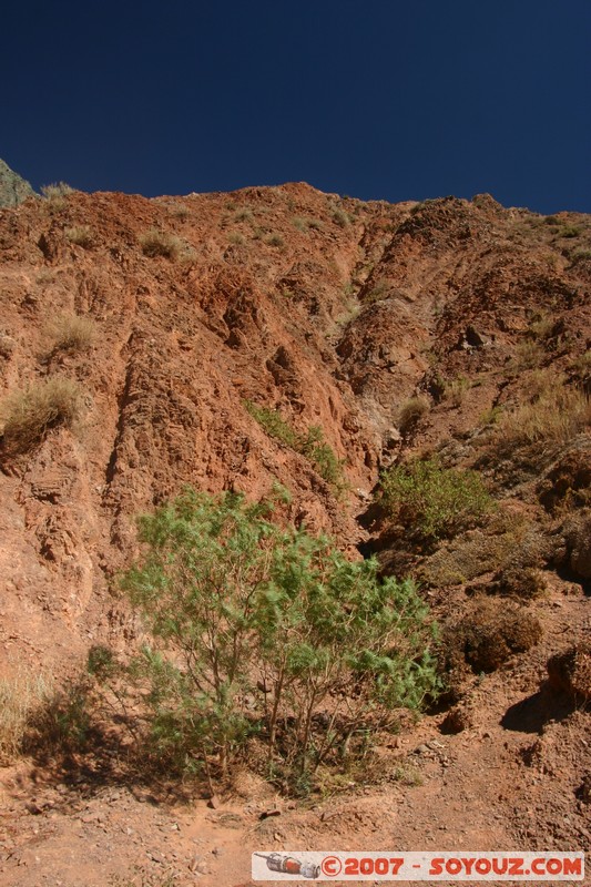 Purmamarca - Paseo de Los Colorados
