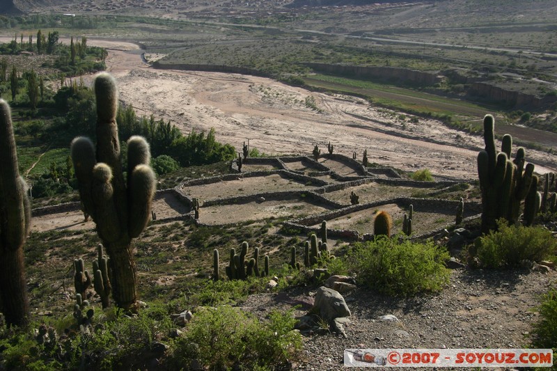 Pucara de Tilcara - Sector del Monumento - Corrales
Mots-clés: Ruines Ruines pre-inca
