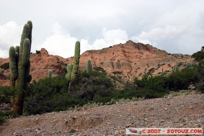 Quebrada de Humahuaca
