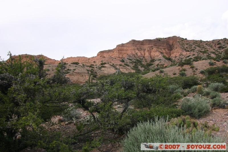 Quebrada de Humahuaca
