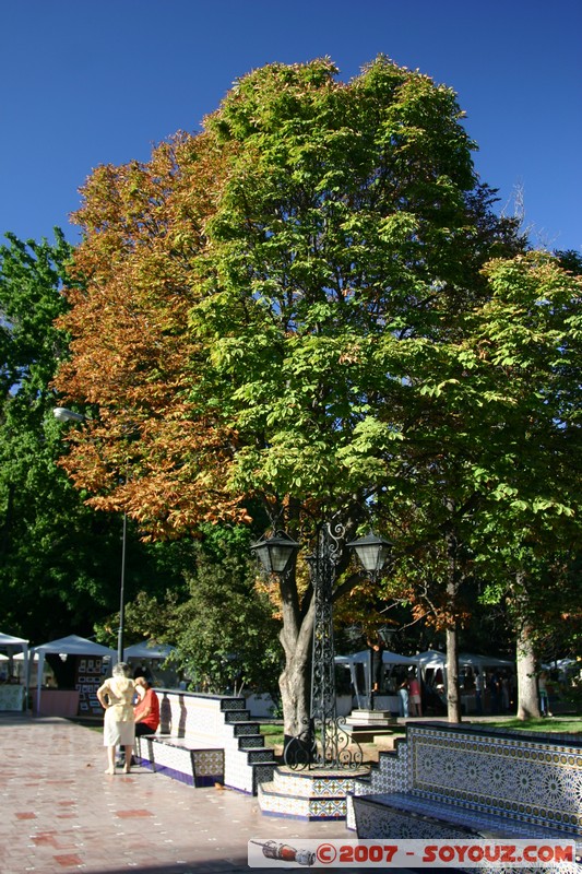 Mendoza - Plaza España
