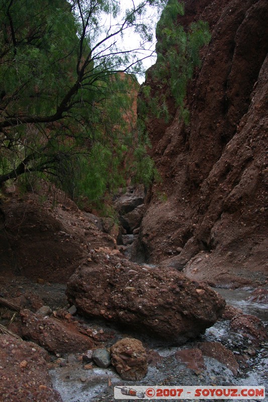 Canon del Inca
