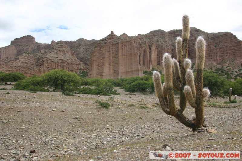 Quebrada de Palala
