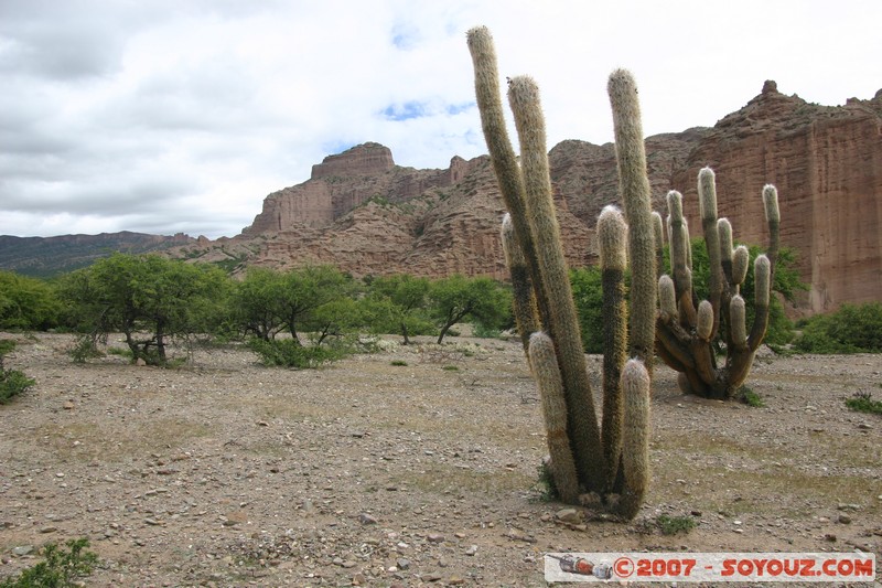 Quebrada de Palala
