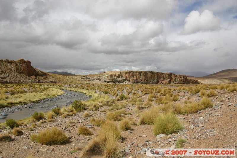 Torreon
