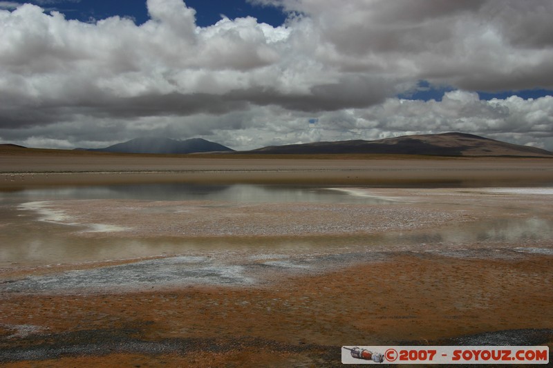 Laguna Hedionda
