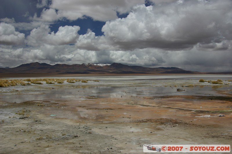 Salar de Chalviri - Laguna Salada
