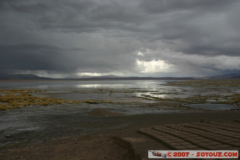 Salar de Chalviri - Laguna Salada 

