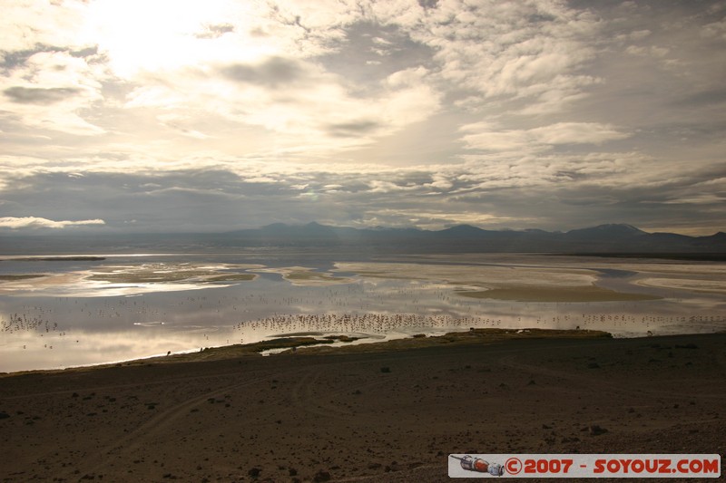 Laguna Colorada
