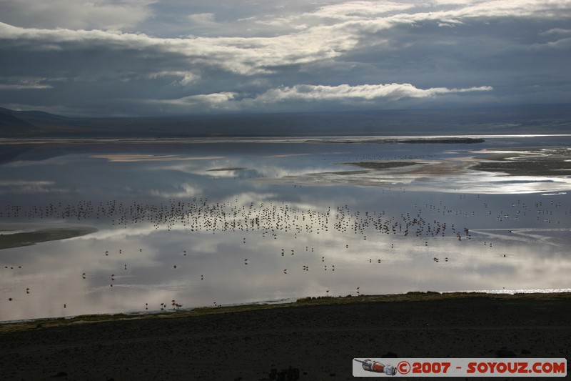 Laguna Colorada
