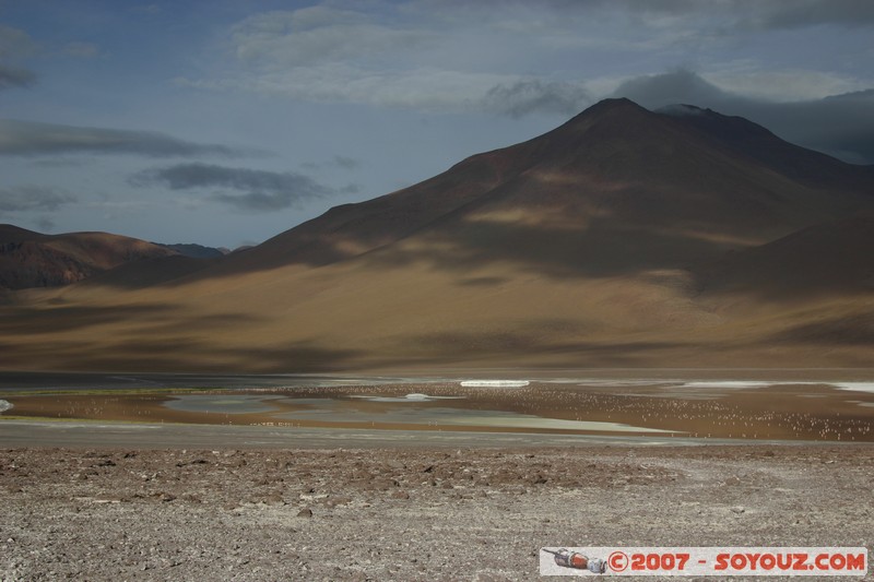 Laguna Colorada et volcan Jorcada
