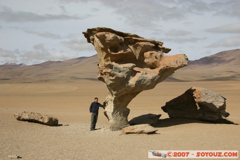 Desierto de Siloli - Arbol de Piedra
