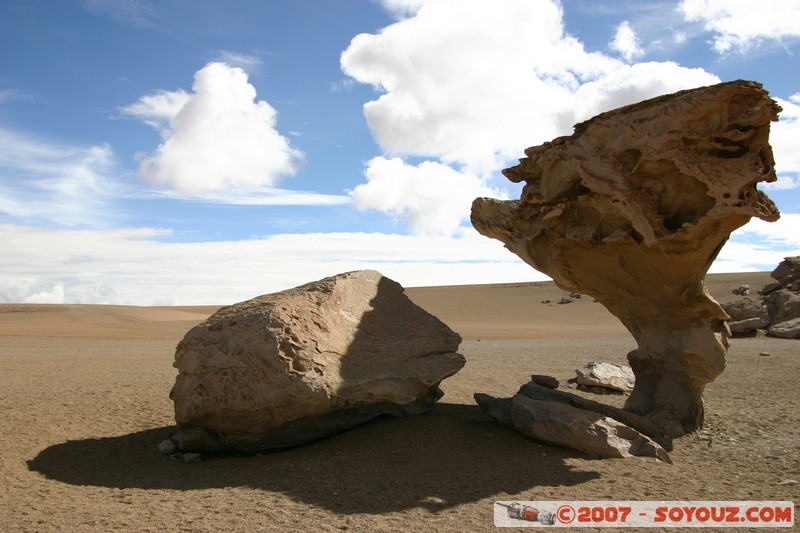 Desierto de Siloli - Arbol de Piedra
