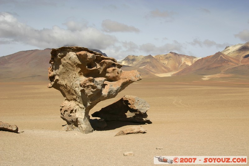 Desierto de Siloli - Arbol de Piedra
