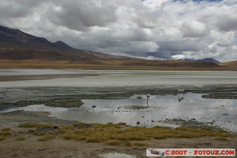 Laguna Hedionda
